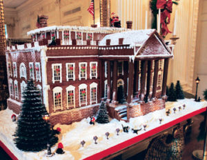 Texas Austin Three Story Custom Gingerbread Country Mansions in North Carolina